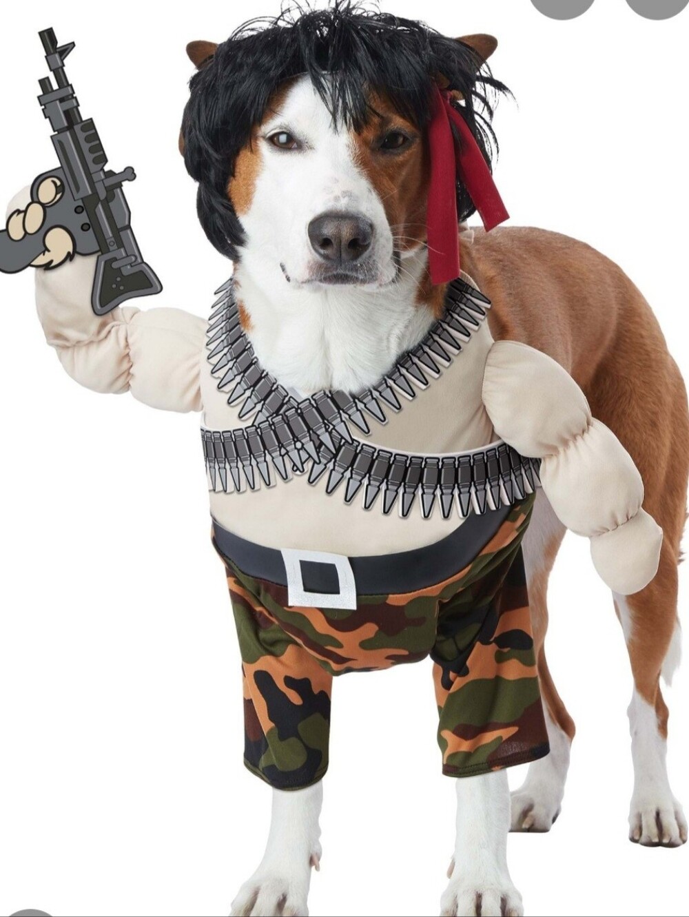 Dog  Costume with Pink Top and Bullet Bandolier